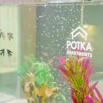 Potka Tirane *