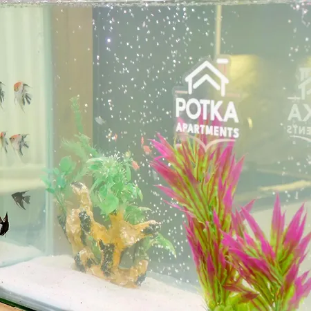 아파트 Potka Tirane *