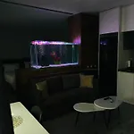 Potka Tirane Yzberishti
