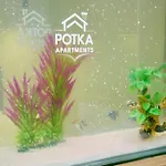 Potka Tirane * Yzberishti