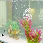 Potka Tirane * Yzberishti