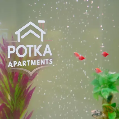 Potka Tirane *