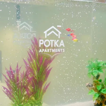 Lejlighed Potka Tirane Yzberishti