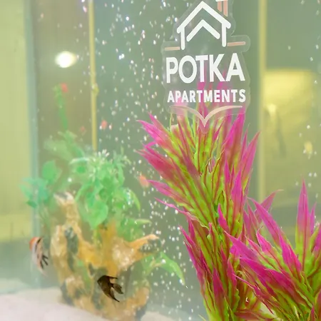 Potka Tirane Appartement