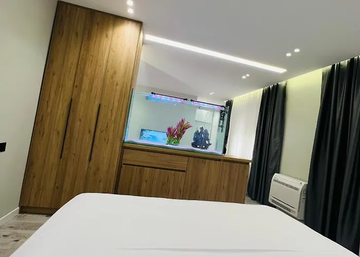 Potka Tirane Yzberishti