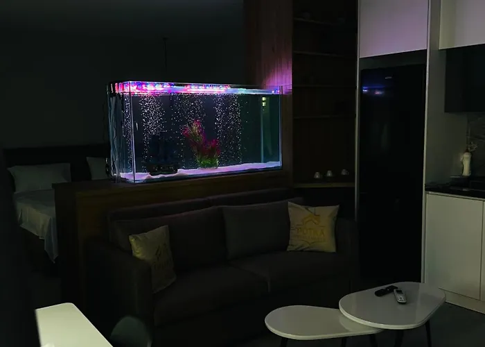 Potka Tirane Yzberishti